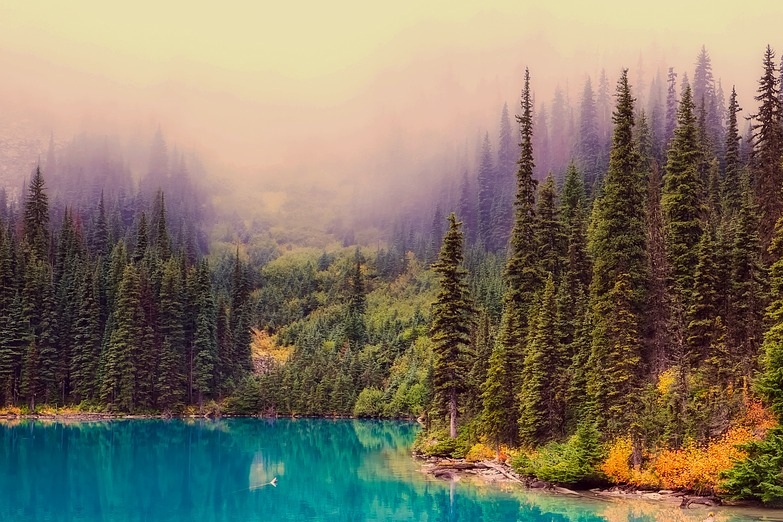 城市与政策环境相关配图